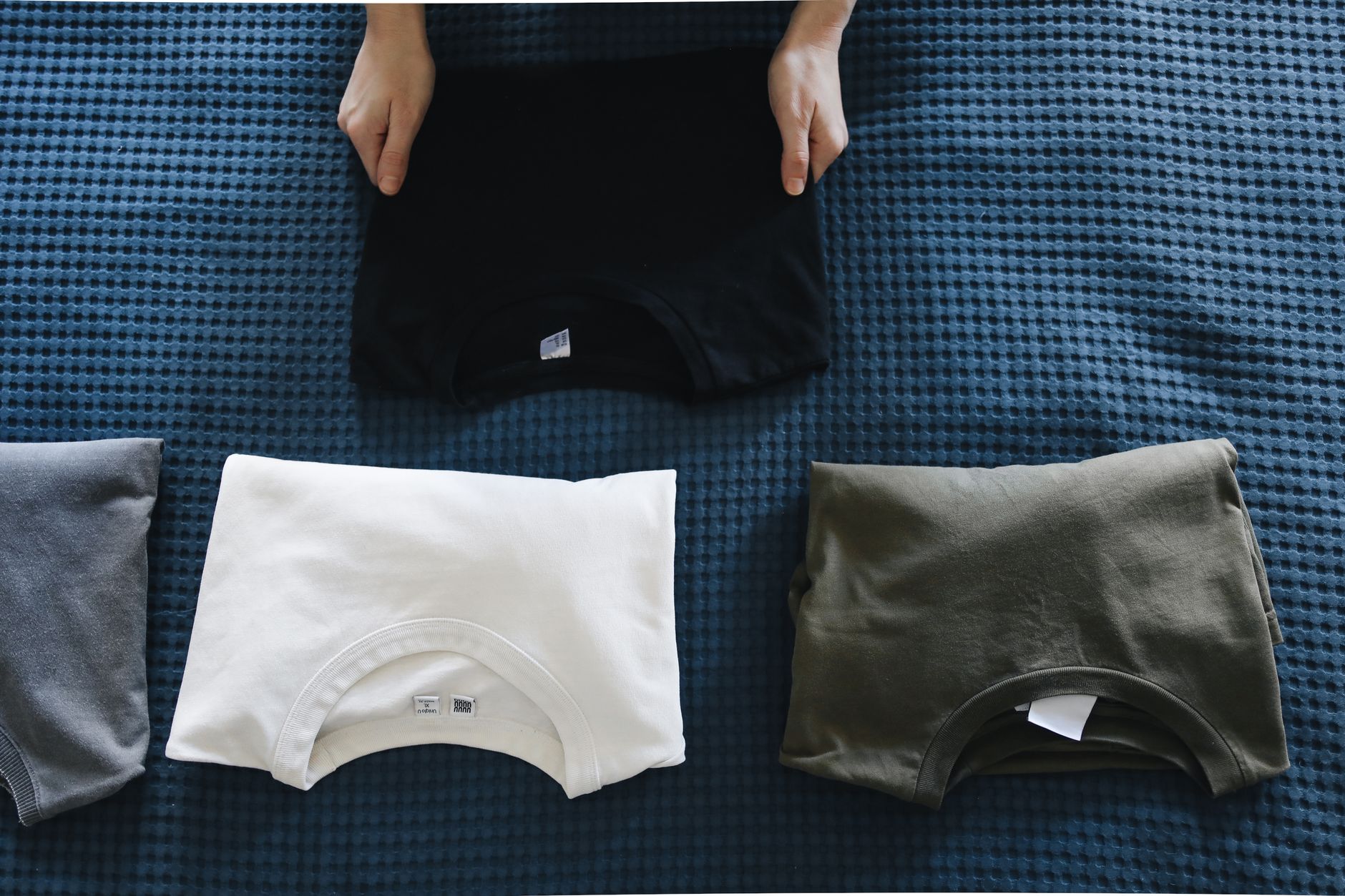 Plain shirts folded and laid out by colour and size